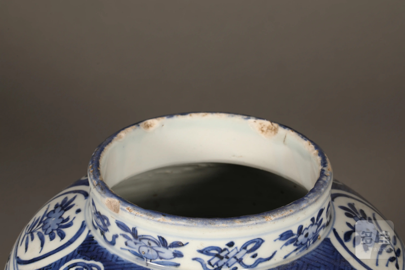明 青花缠枝花卉纹罐 - 图7